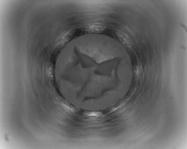 X0000099470663200805091548