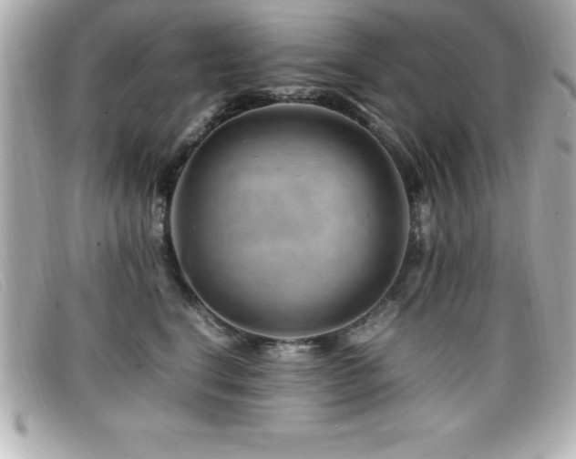 X0000099470664200805091548