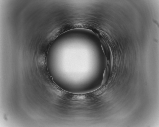 X0000099470665200805091548