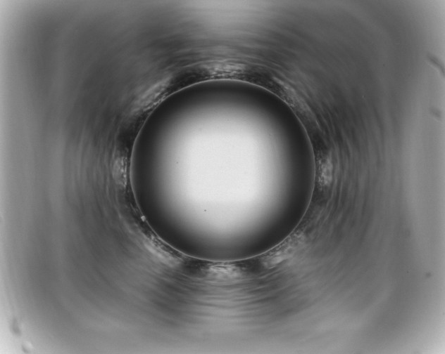X0000099470666200805091548