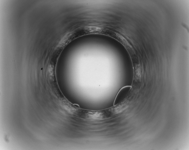 X0000099470667200805091548