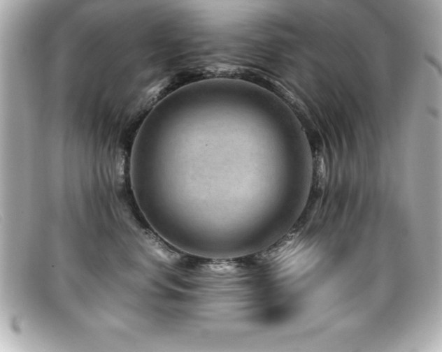 X0000099470668200805091548