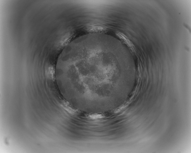 X0000099470669200805091548