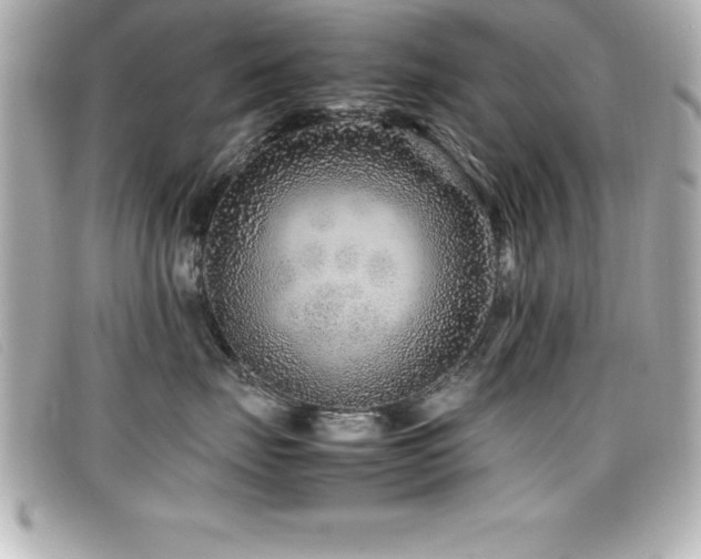 X0000099470671200805091548