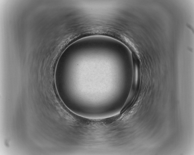X0000099470673200805091548