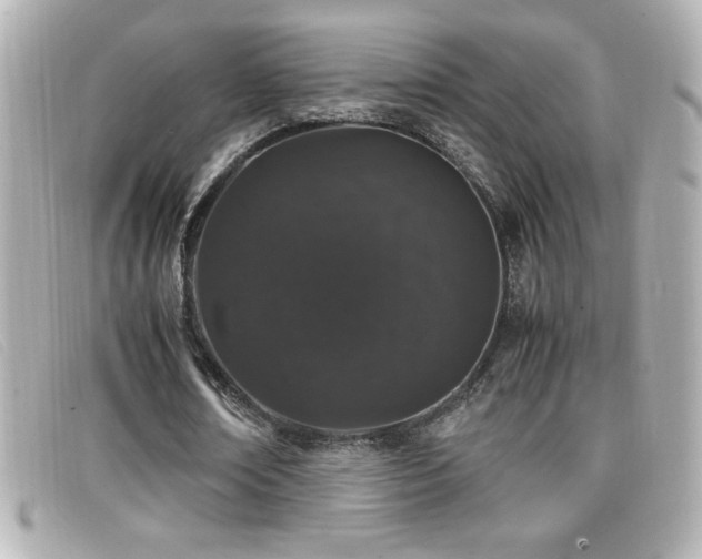 X0000099470674200805091548