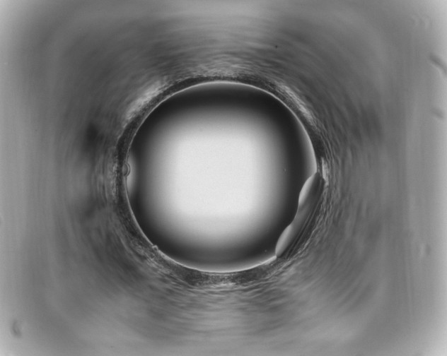 X0000099470675200805091548