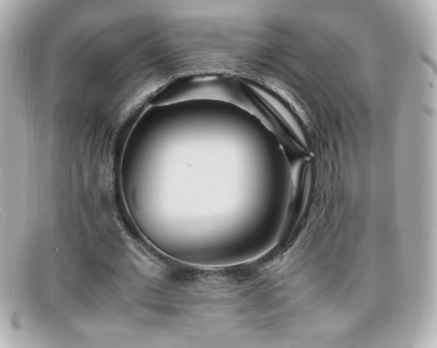 X0000099470677200805091548