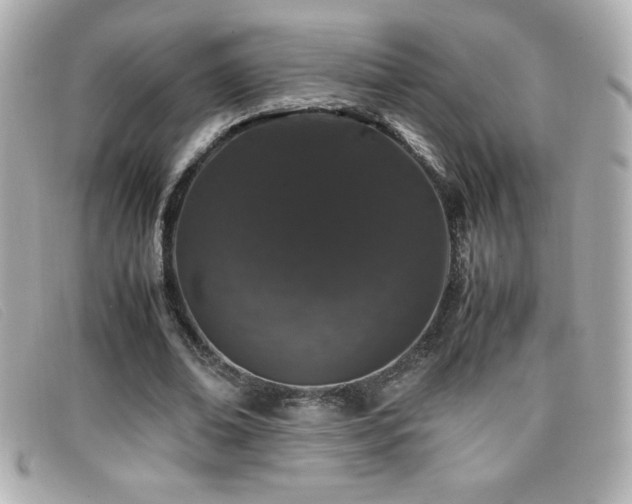 X0000099470678200805091548