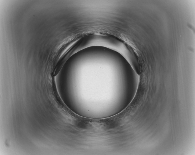 X0000099470681200805091548
