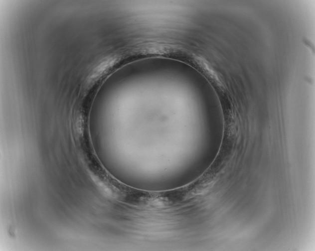 X0000099470683200805091547