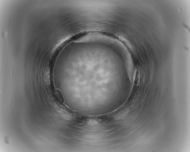 X0000099470684200805091547