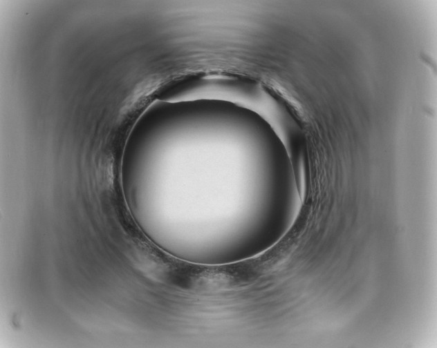 X0000099470685200805091547