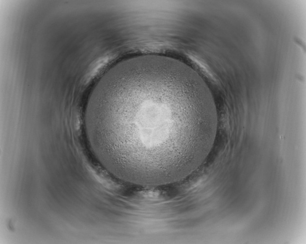 X0000099470687200805091547