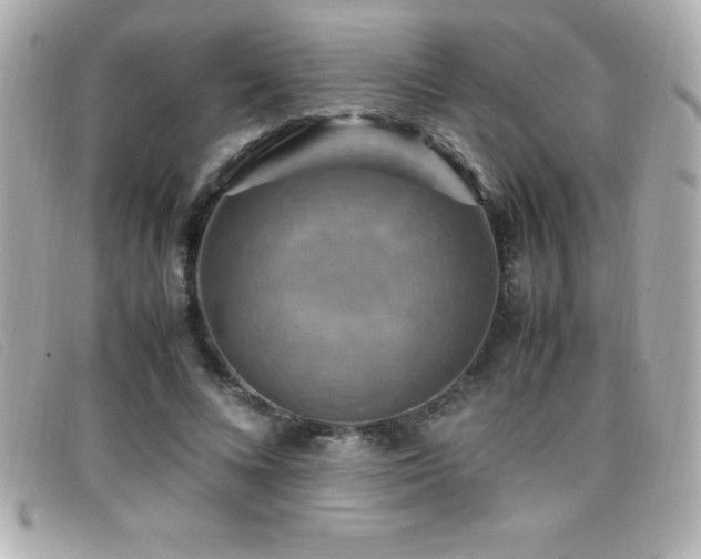 X0000099470688200805091547