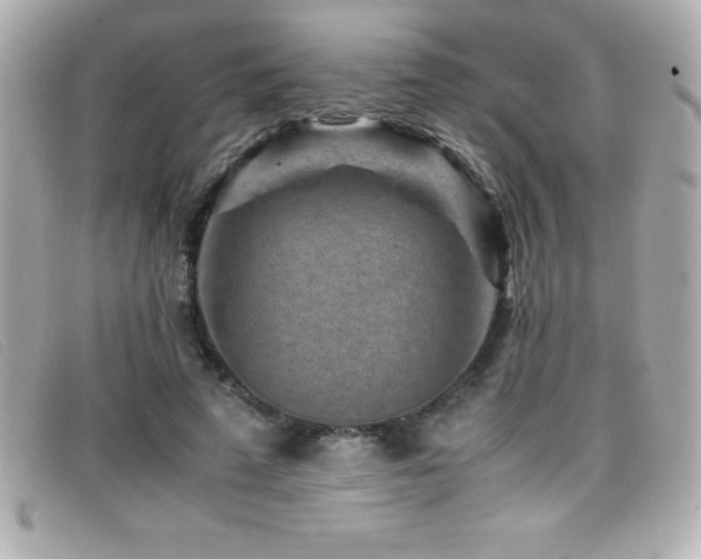 X0000099470689200805091547