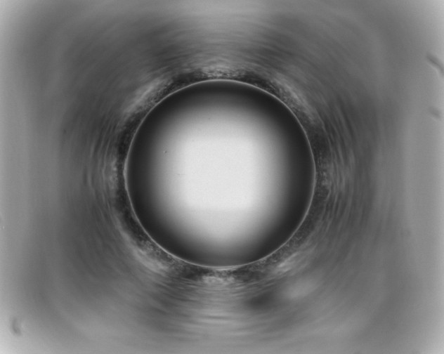 X0000099470690200805091547