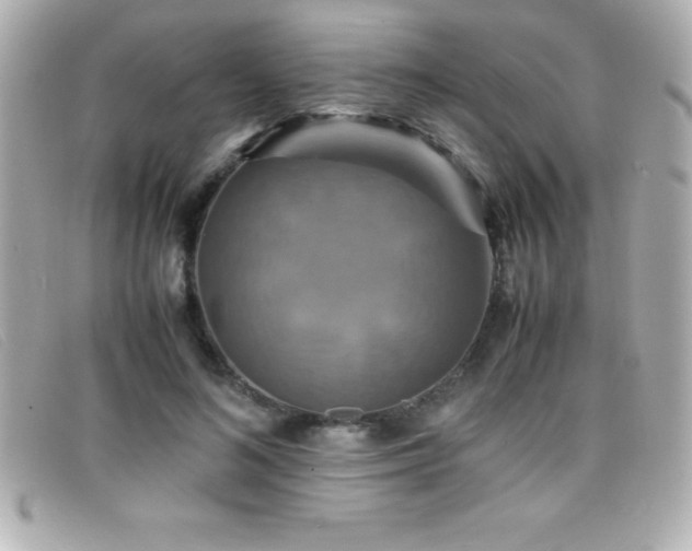X0000099470692200805091547