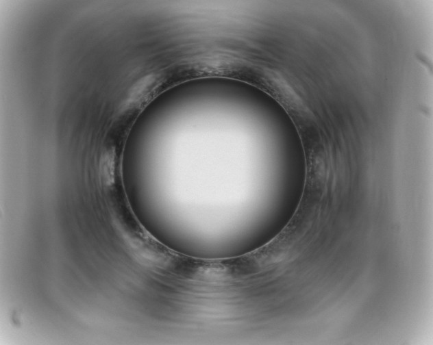 X0000099470694200805091547
