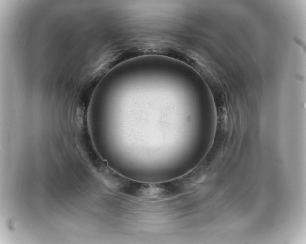 X0000099470695200805091547