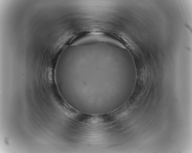 X0000099470696200805091547