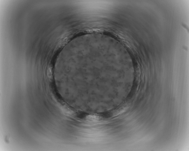 X0000099470699200805091547