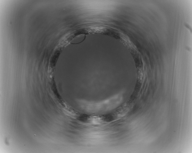 X0000099470701200805091547