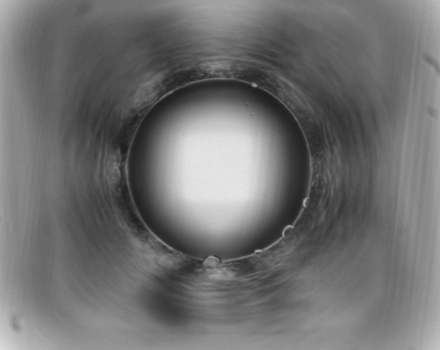X0000099470702200805091547