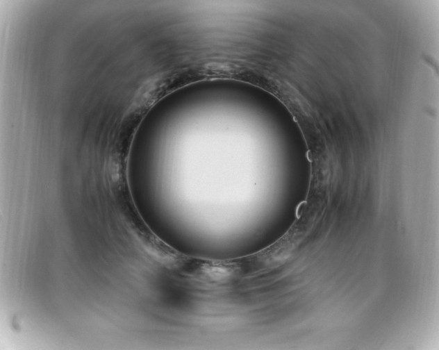 X0000099470706200805091547
