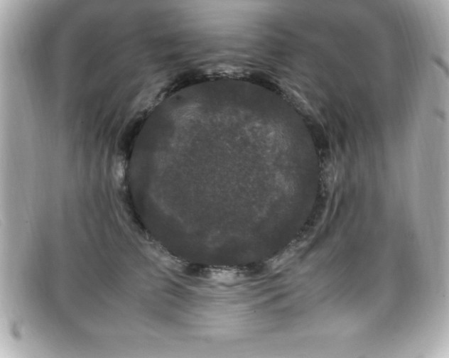 X0000099470709200805091547