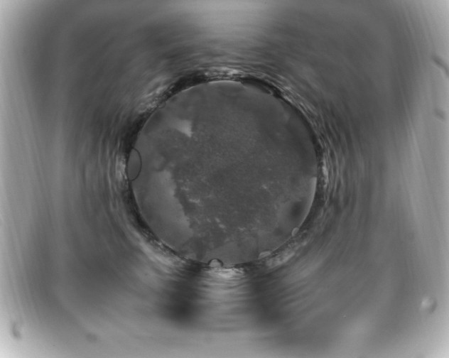 X0000099470711200805091547