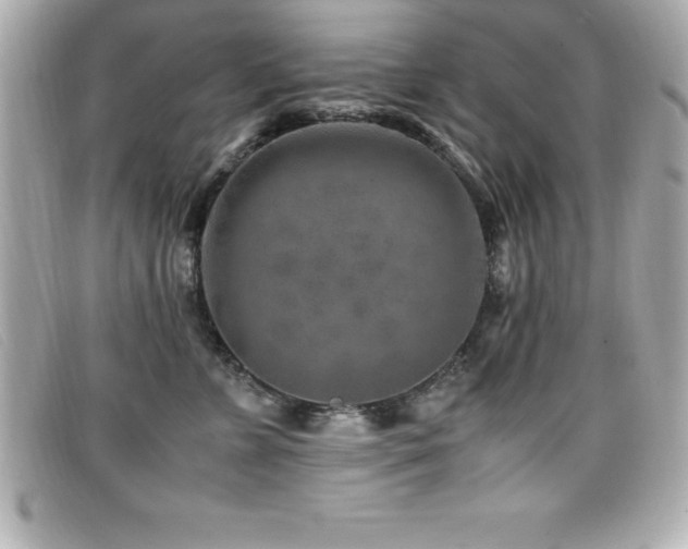 X0000099470715200805091547