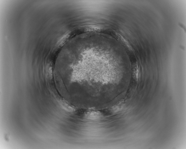 X0000099470716200805091547