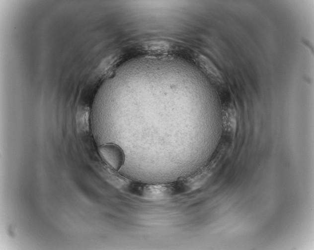 X0000099470717200805091547