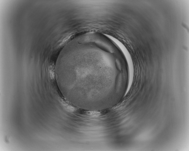 X0000099470719200805091547