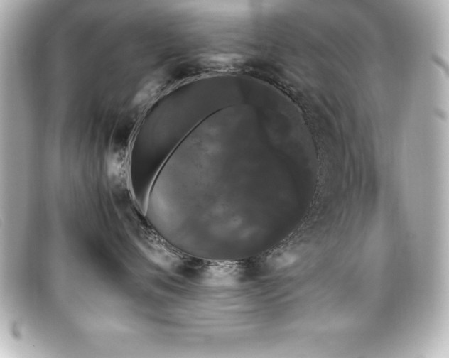 X0000099470720200805091547