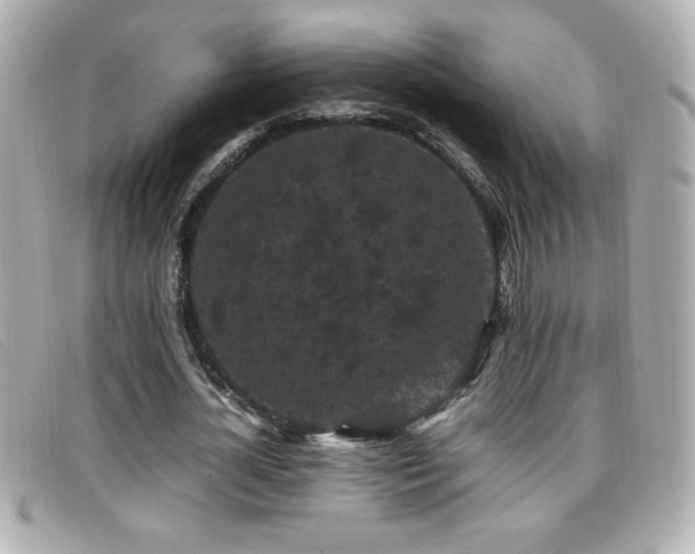 X0000099470724200805091546