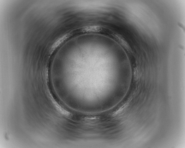 X0000099470725200805091546