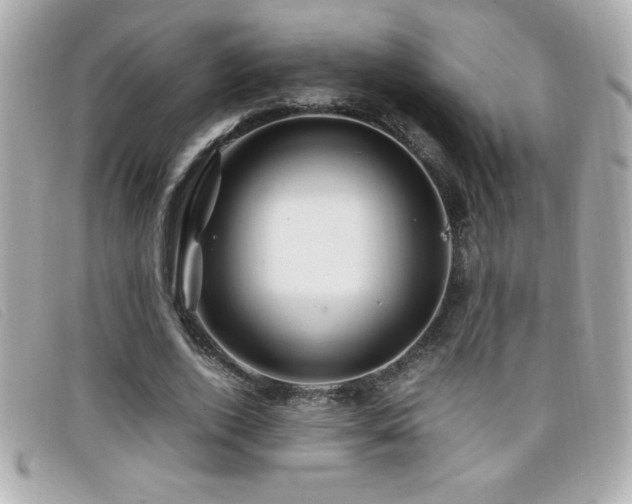 X0000099470728200805091546