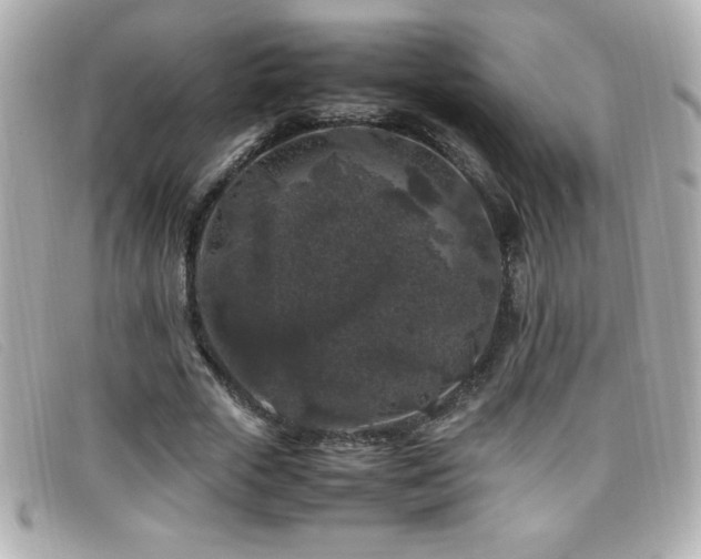 X0000099470729200805091546