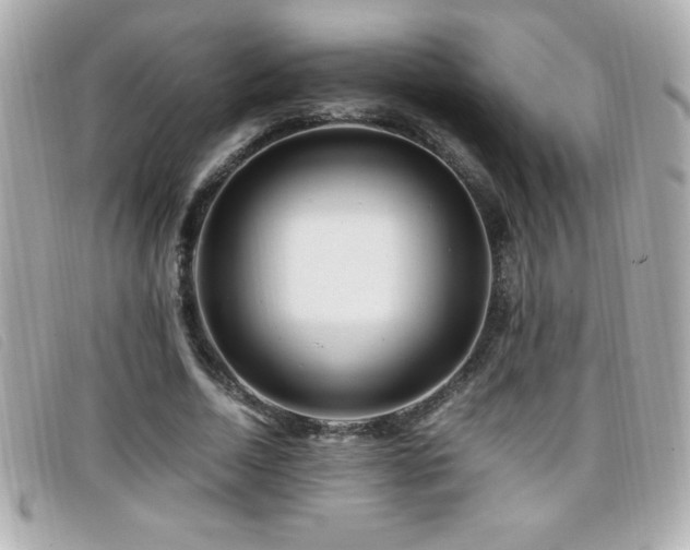 X0000099470730200805091546