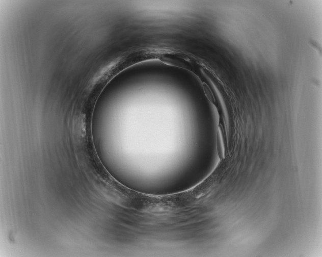 X0000099470731200805091546