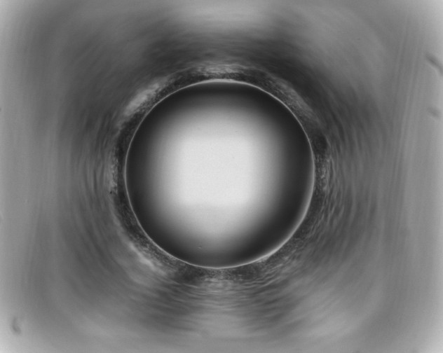 X0000099470732200805091546