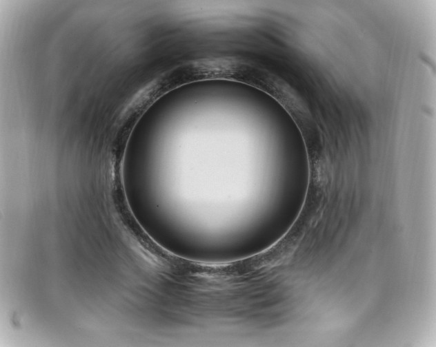 X0000099470733200805091546