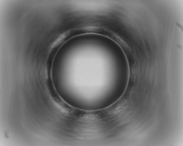 X0000099470734200805091547