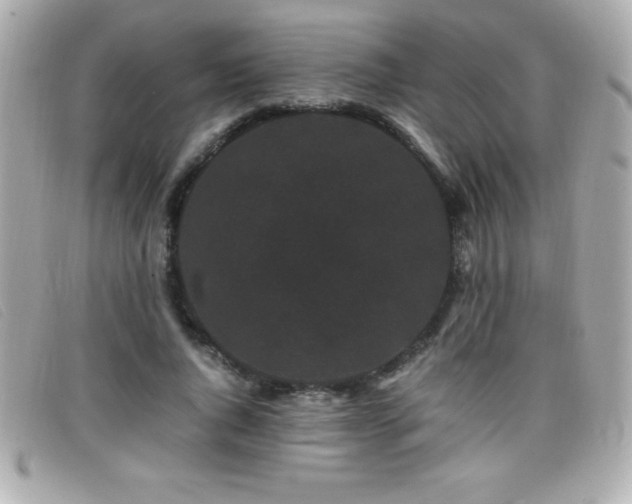 X0000099470736200805091547