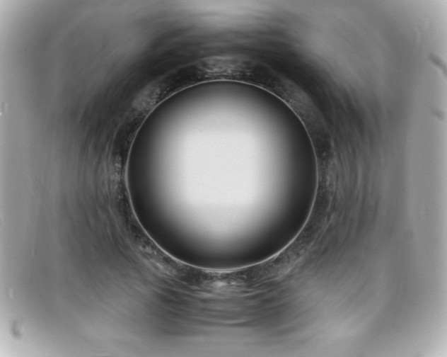 X0000099470737200805091547