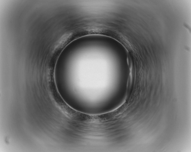 X0000099470738200805091547