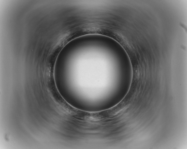 X0000099470739200805091547