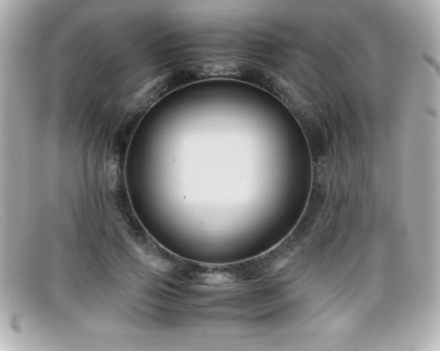 X0000099470741200805091547